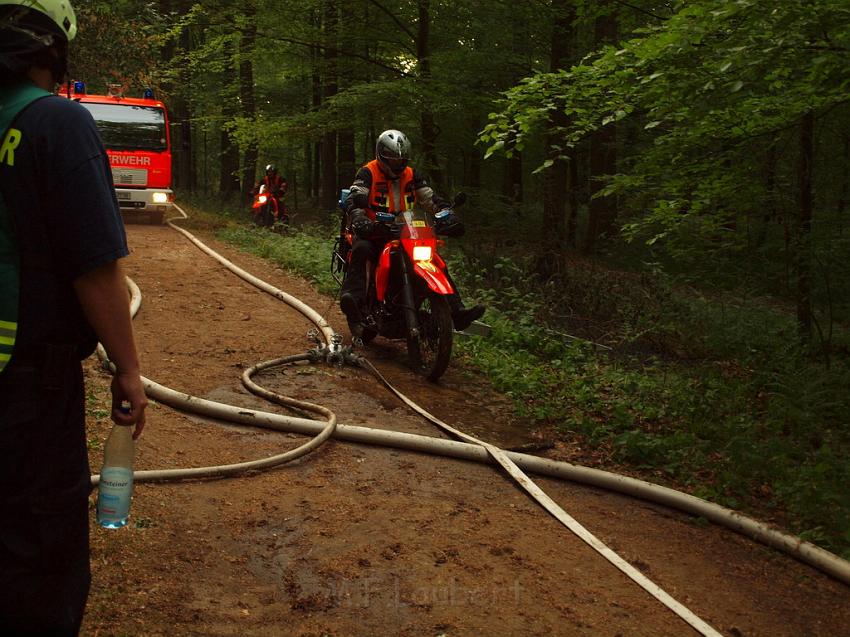 Waldbrand Bergisch Gladbach Bensberg P140.JPG